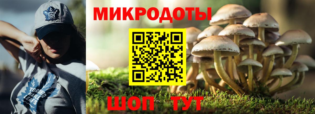 Псилоцибиновые грибы GOLDEN TEACHER  Псилоцибиновые грибы Cubensis  Мариинск  Вход с VPN 